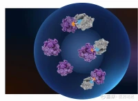 Halda Therapeutics Acquired by J&J: What Happened?