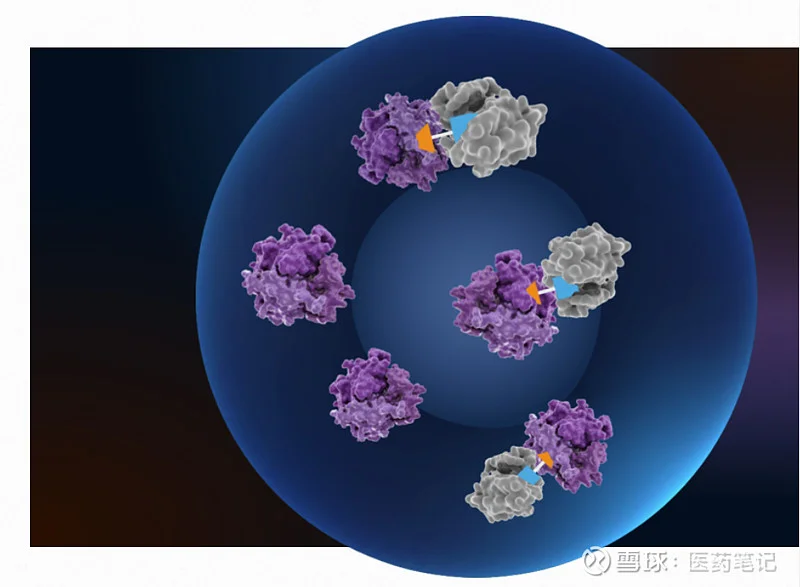Halda Therapeutics Acquired by J&J: What Happened?